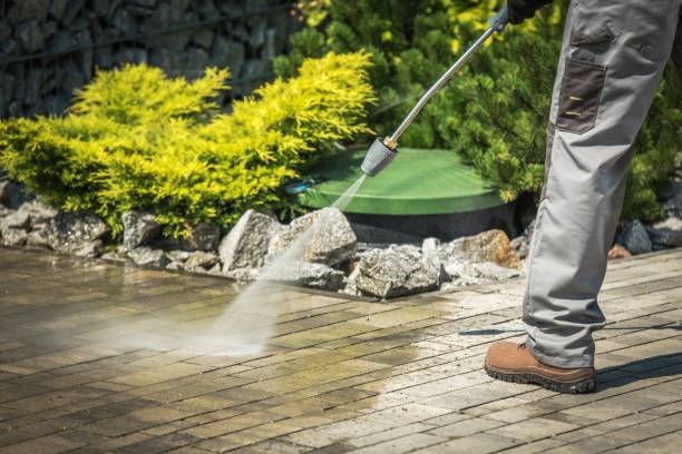 Best Animal Enclosure Cleaning  in Hauula, HI